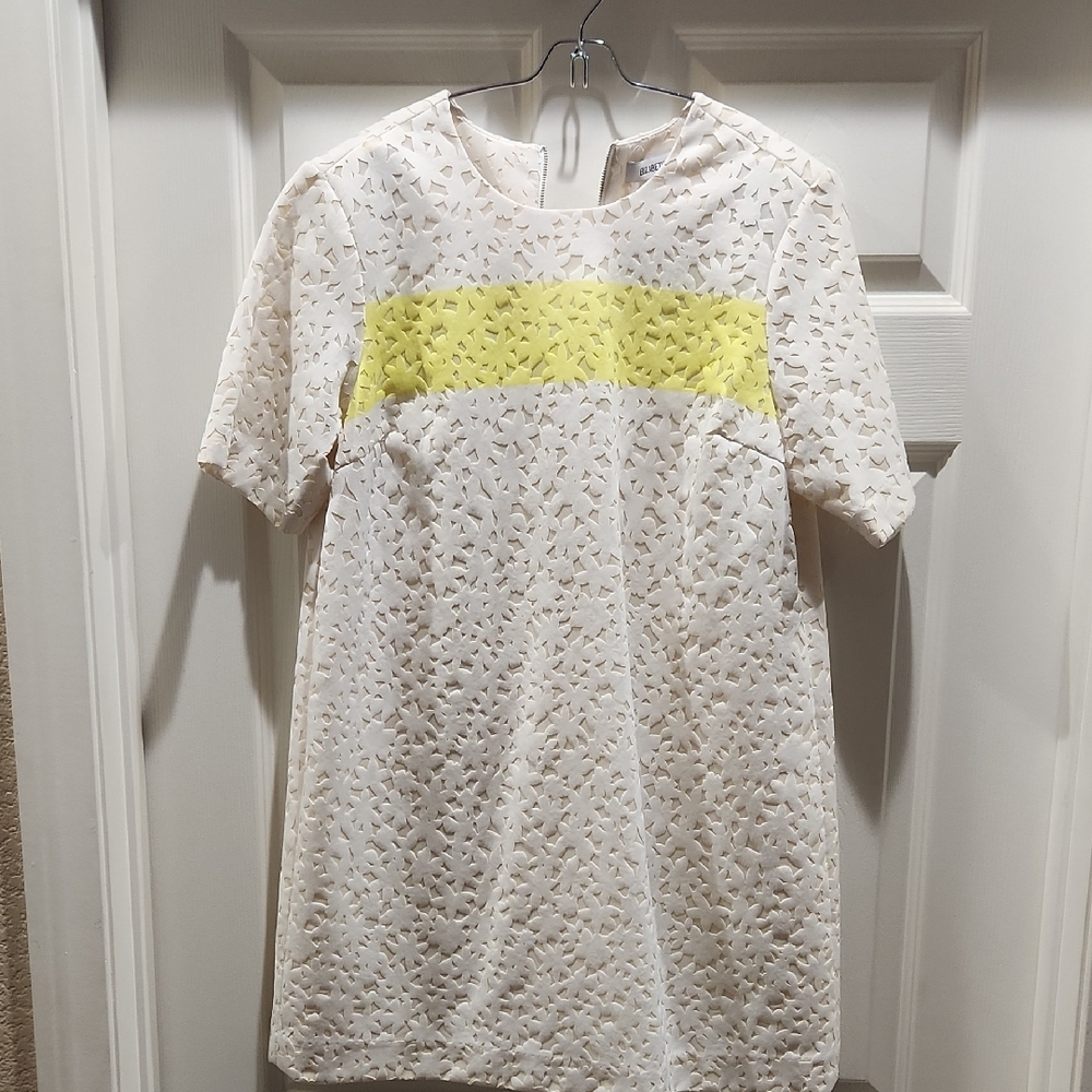 Elizabeth and James Cream Lace Top